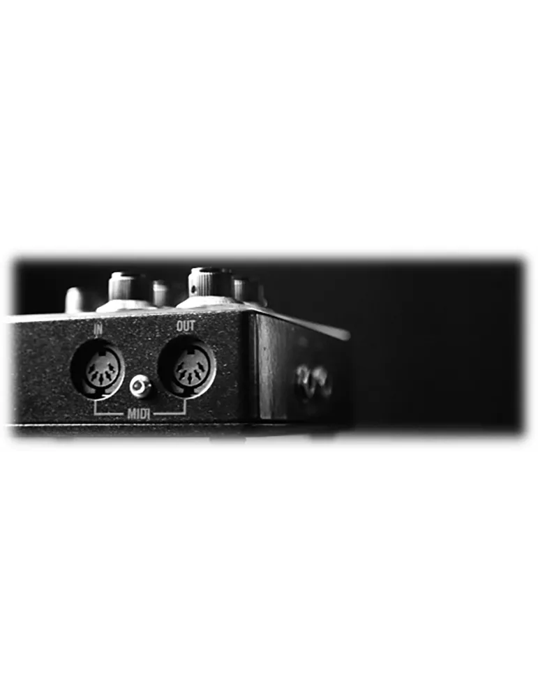  LANEY DELAY PEDAL BCC-TDE|MusicGoodDeal 