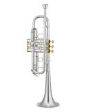 XO XO1624SR | MusicGoodDeal
