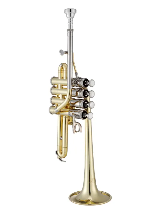XO XO1700L | MusicGoodDeal
