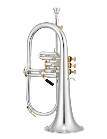 XO XO1646RS | MusicGoodDeal