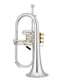 XO XO1646RS | MusicGoodDeal