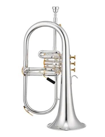 XO XO1646RS | MusicGoodDeal 2