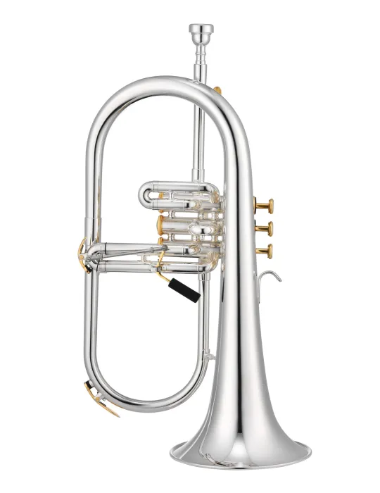 XO XO1646RS | MusicGoodDeal