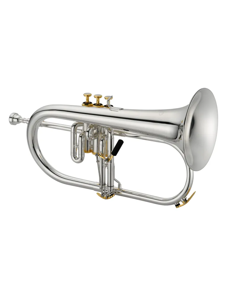 XO XO1646RS | MusicGoodDeal