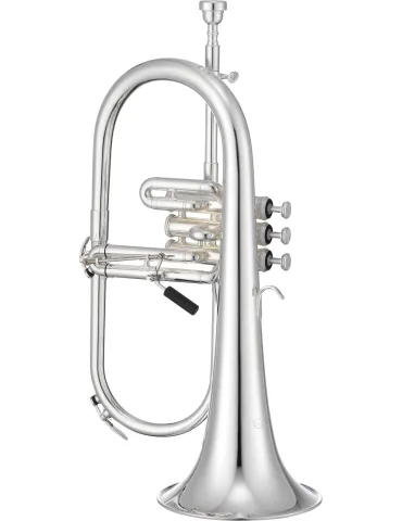 XO XO1646RSS | MusicGoodDeal