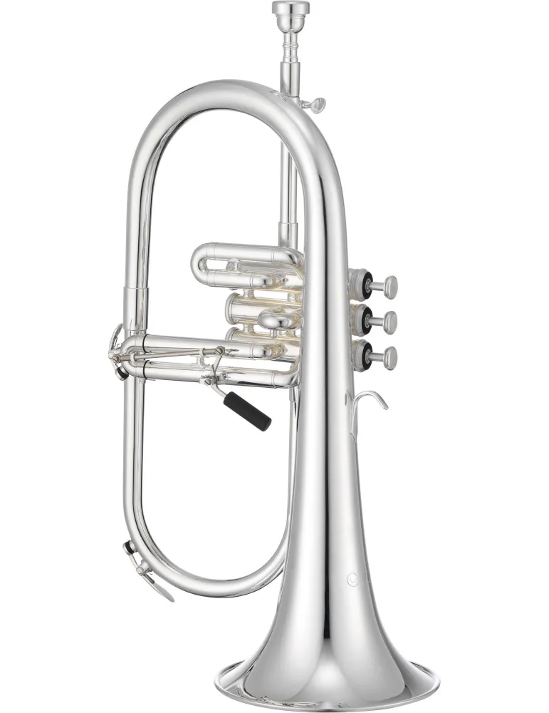 XO XO1646RSS | MusicGoodDeal