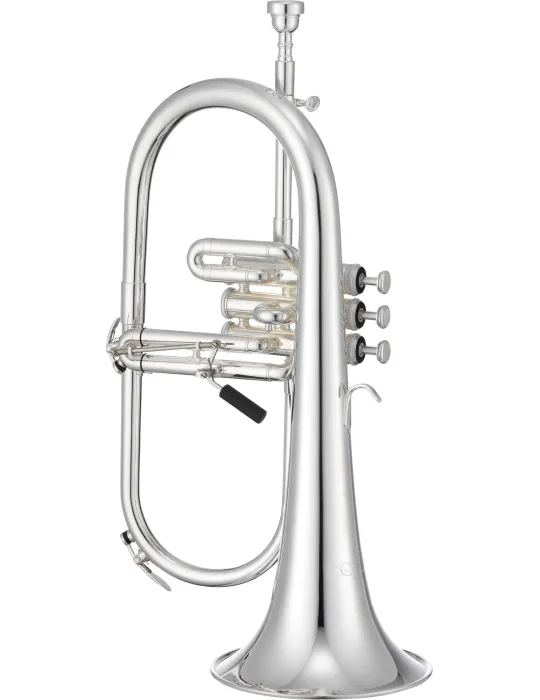 XO XO1646RSS | MusicGoodDeal