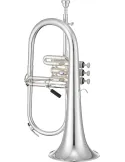 XO XO1646RSS | MusicGoodDeal