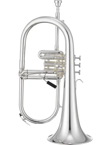 XO XO1646RSS | MusicGoodDeal 2