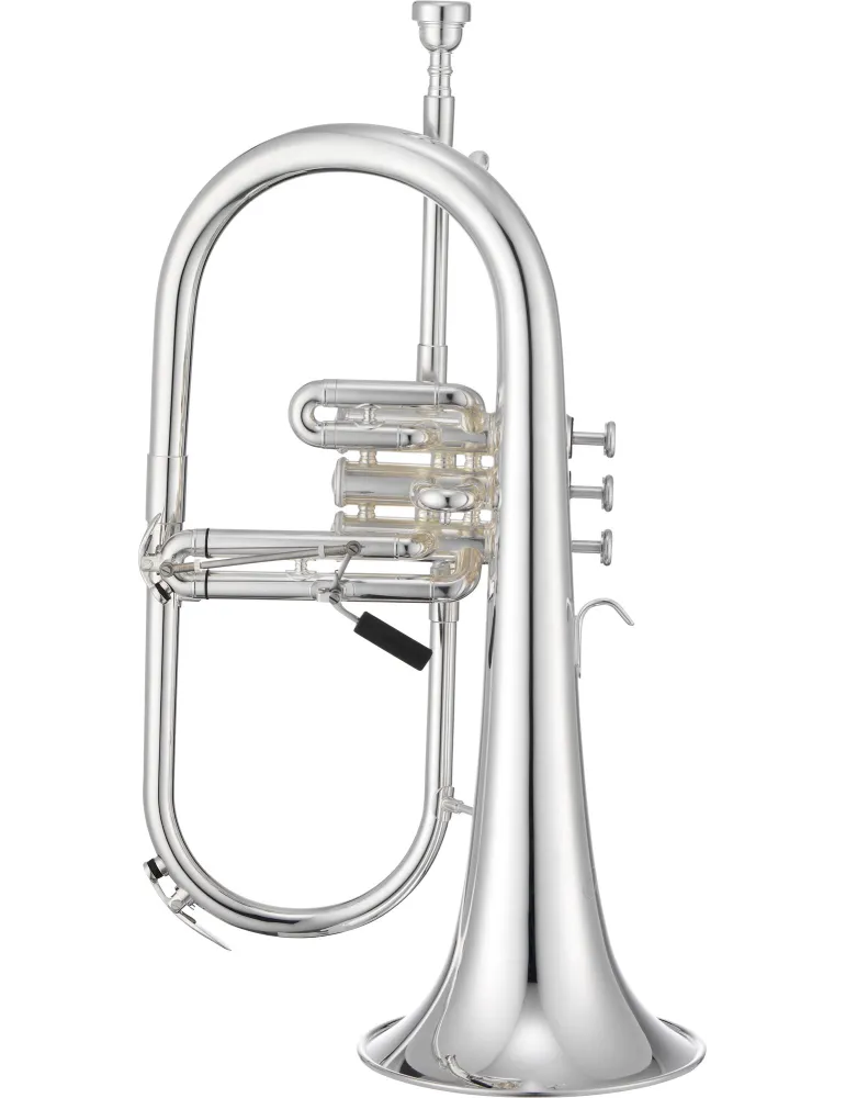 XO XO1646RSS | MusicGoodDeal