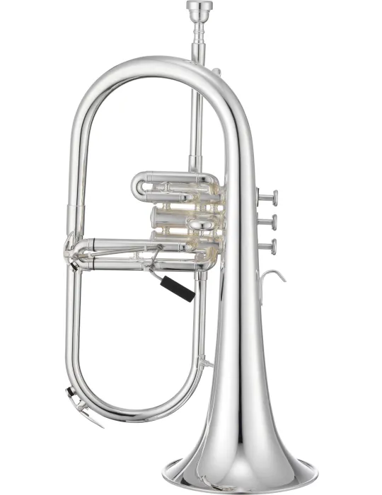 XO XO1646RSS | MusicGoodDeal