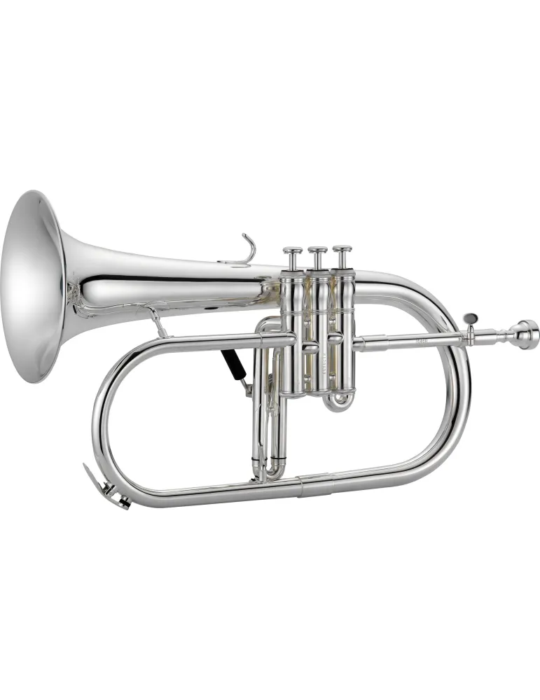XO XO1646RSS | MusicGoodDeal