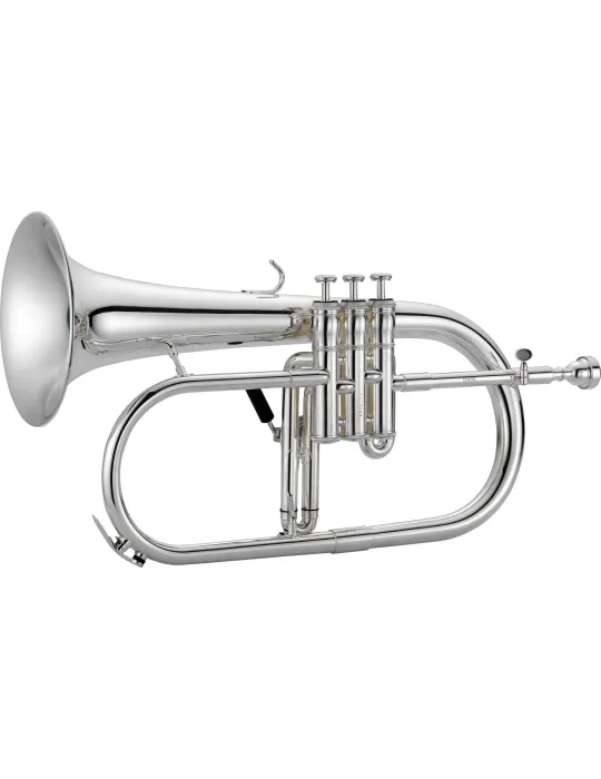 XO XO1646RSS | MusicGoodDeal