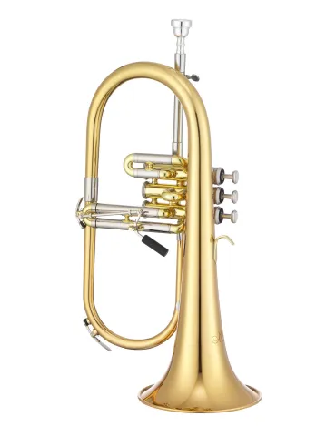 XO XO1646RL | MusicGoodDeal