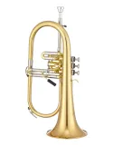 XO XO1646RL | MusicGoodDeal