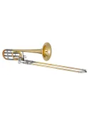 XO XO1236L | MusicGoodDeal