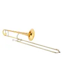 XO XO1634RLT | MusicGoodDeal