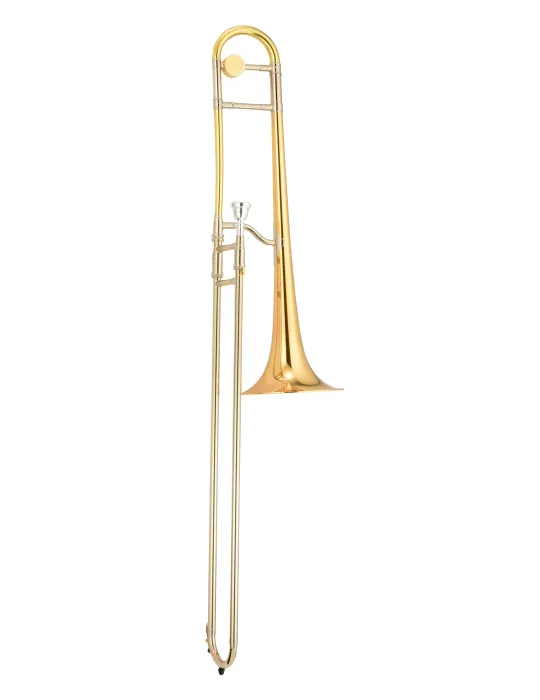 XO XO1634RLT | MusicGoodDeal