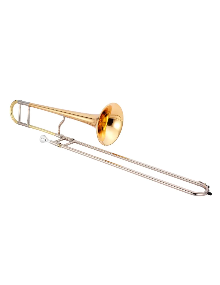XO XO1632RGLLT | MusicGoodDeal