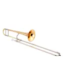 XO XO1632RGLLT | MusicGoodDeal
