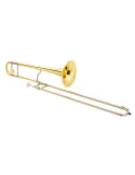 XO XO1634LT | MusicGoodDeal
