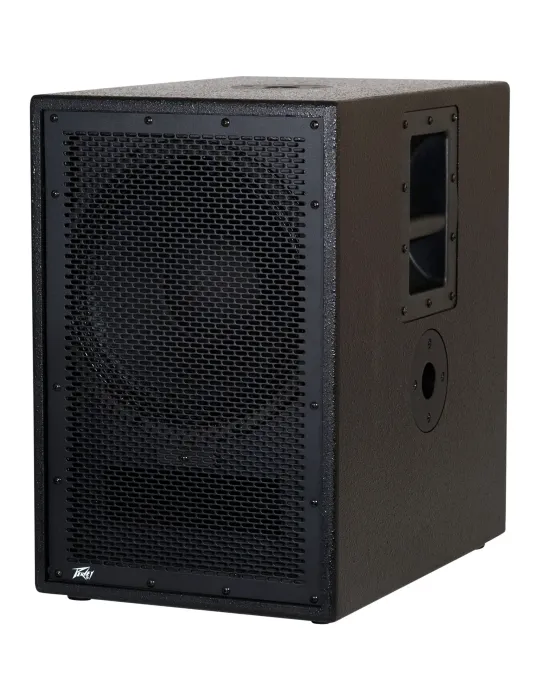 PEAVEY PVS-12SUB | MusicGoodDeal