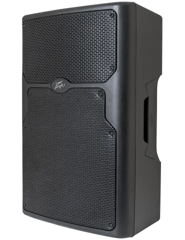 PEAVEY PVX-P15BT | MusicGoodDeal 2