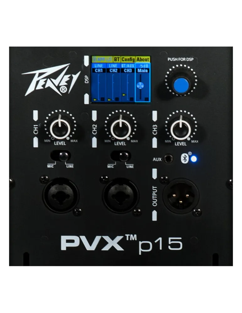 PEAVEY PVX-P15BT | MusicGoodDeal