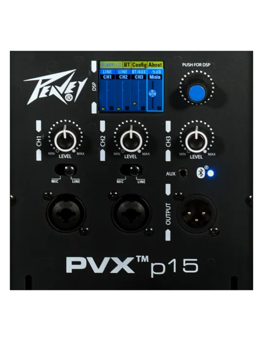 PEAVEY PVX-P15BT | MusicGoodDeal
