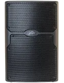 PEAVEY PVX-P12BT | MusicGoodDeal
