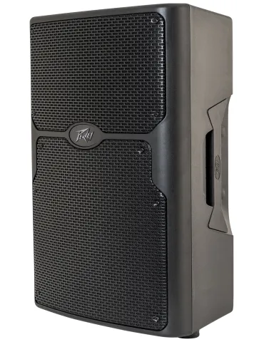 PEAVEY PVX-P12BT | MusicGoodDeal 2