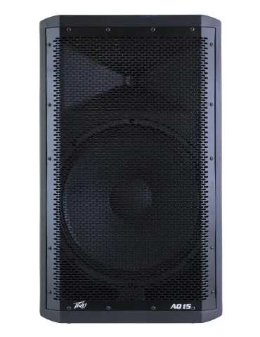 PEAVEY AQ-15 | MusicGoodDeal