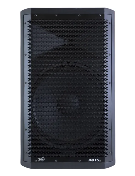 PEAVEY AQ-15 | MusicGoodDeal