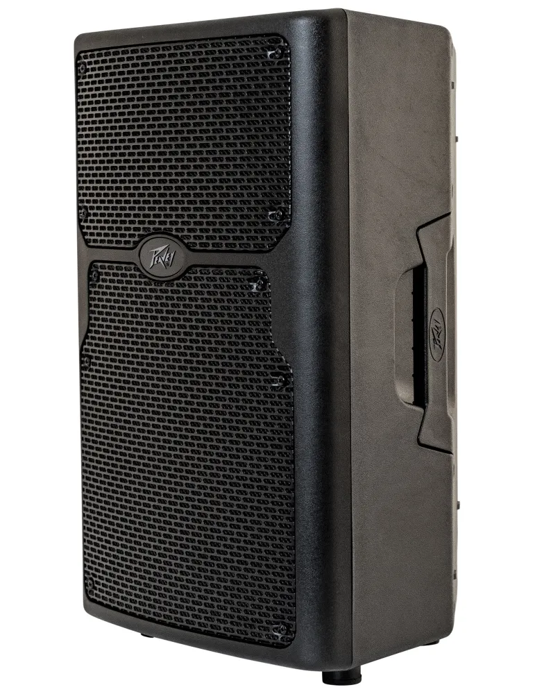 PEAVEY PVX-P10BT | MusicGoodDeal