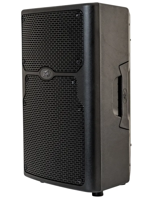 PEAVEY PVX-P10BT | MusicGoodDeal