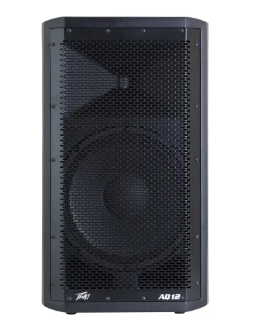 PEAVEY AQ-12 | MusicGoodDeal