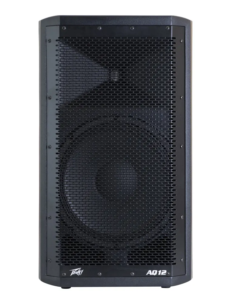 PEAVEY AQ-12 | MusicGoodDeal