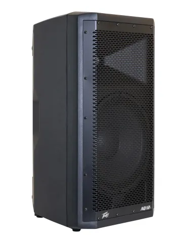 PEAVEY AQ-12 | MusicGoodDeal 2