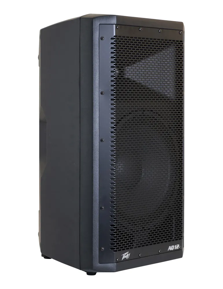 PEAVEY AQ-12 | MusicGoodDeal