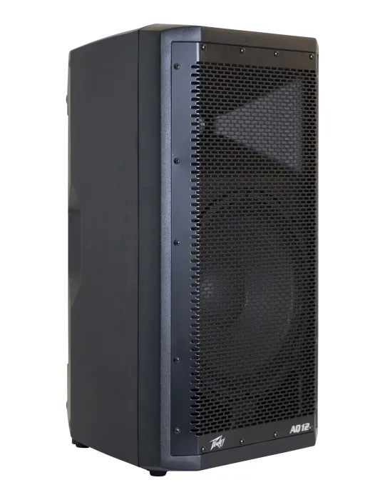PEAVEY AQ-12 | MusicGoodDeal