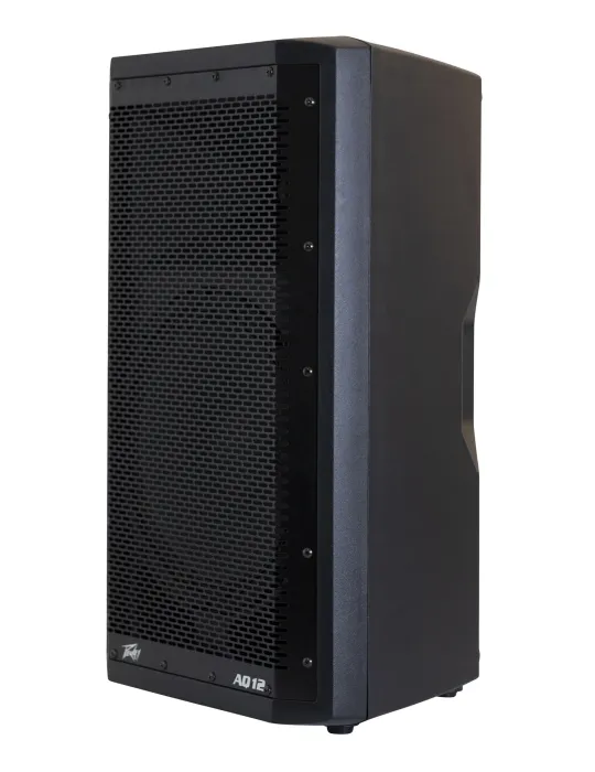 PEAVEY AQ-12 | MusicGoodDeal