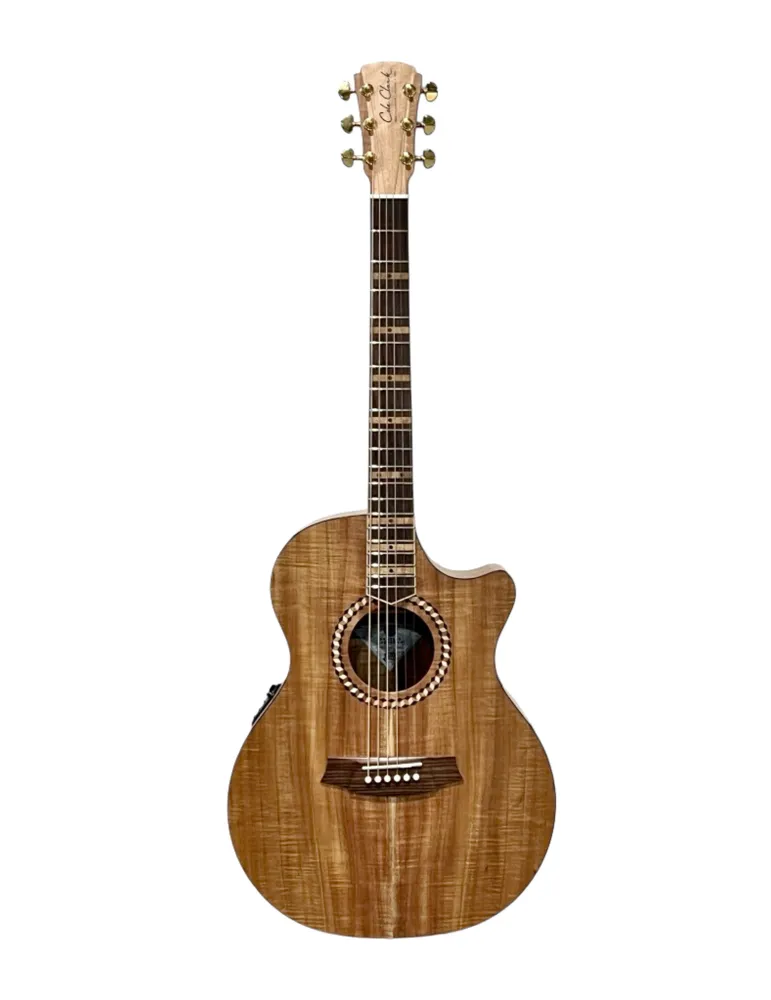 COLE CLARK SRDLXANECBLBR | MusicGoodDeal