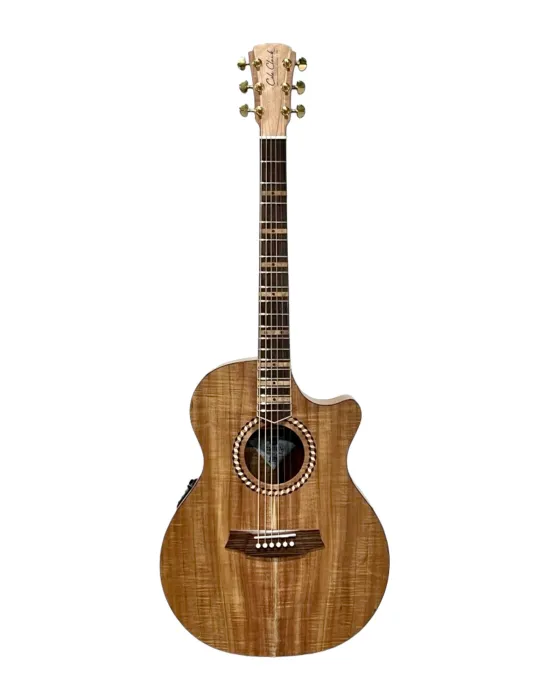 COLE CLARK SRDLXANECBLBR | MusicGoodDeal