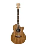 COLE CLARK SRDLXANECBLBR | MusicGoodDeal