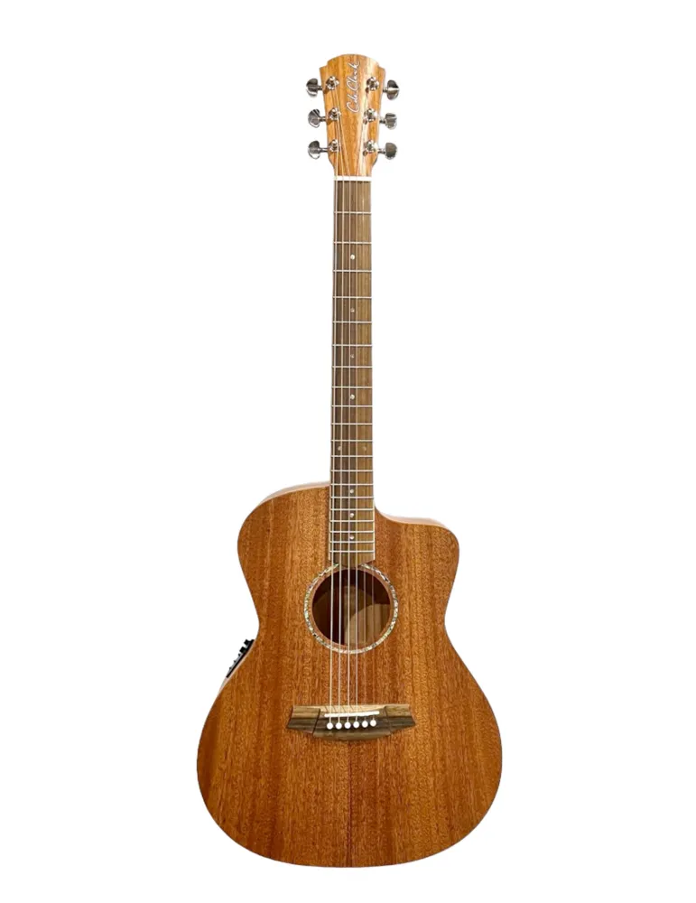 COLE CLARK SAN1EC-MMAH | MusicGoodDeal