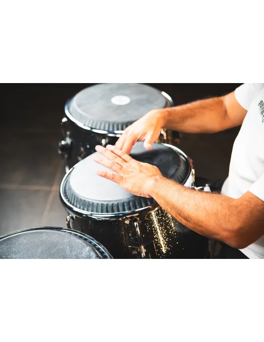 MEINL DG1212MS | MusicGoodDeal