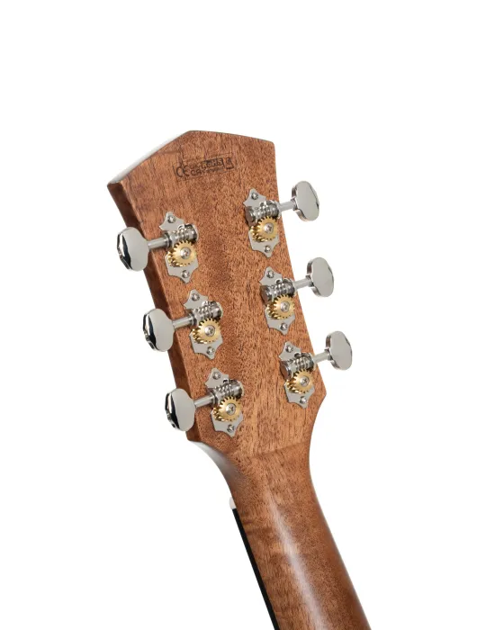 CORT CORE-MCOVBTSG | MusicGoodDeal