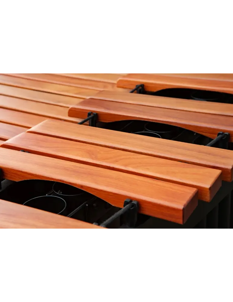 MAJESTIC M650DB | MusicGoodDeal