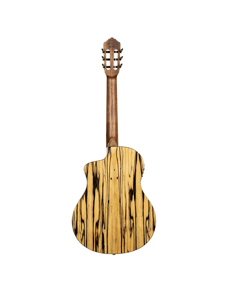 ORTEGA BYWSM | MusicGoodDeal