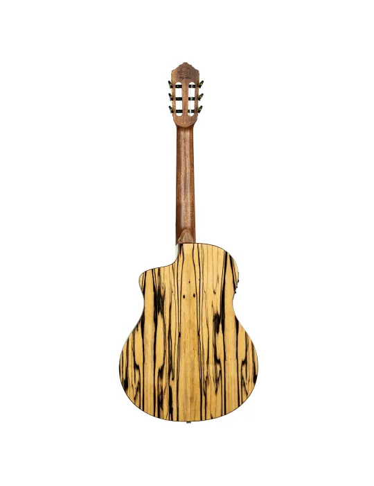 ORTEGA BYWSM | MusicGoodDeal